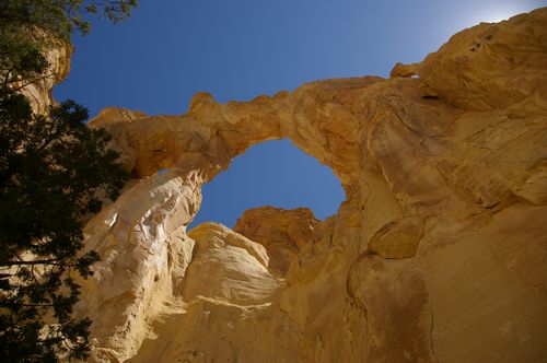 Grosvenor Arch