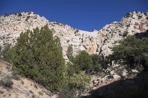 Yellow Rock