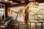 Dino im Vorraum