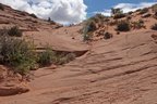 Weg zum Dry Fork Trail