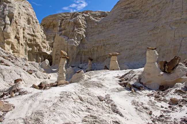Toadstool Hoodoo