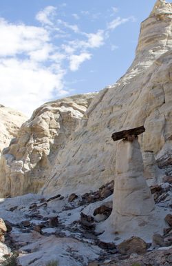 Toadstool Hoodoo
