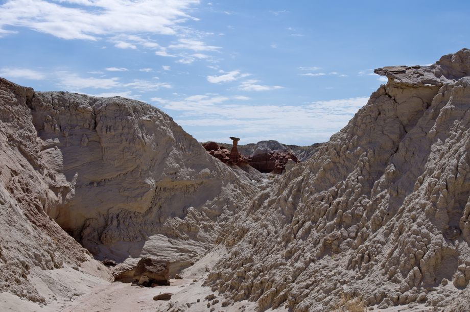 Toadstool Hoodoo