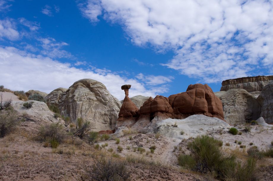 Toadstool Hoodoo