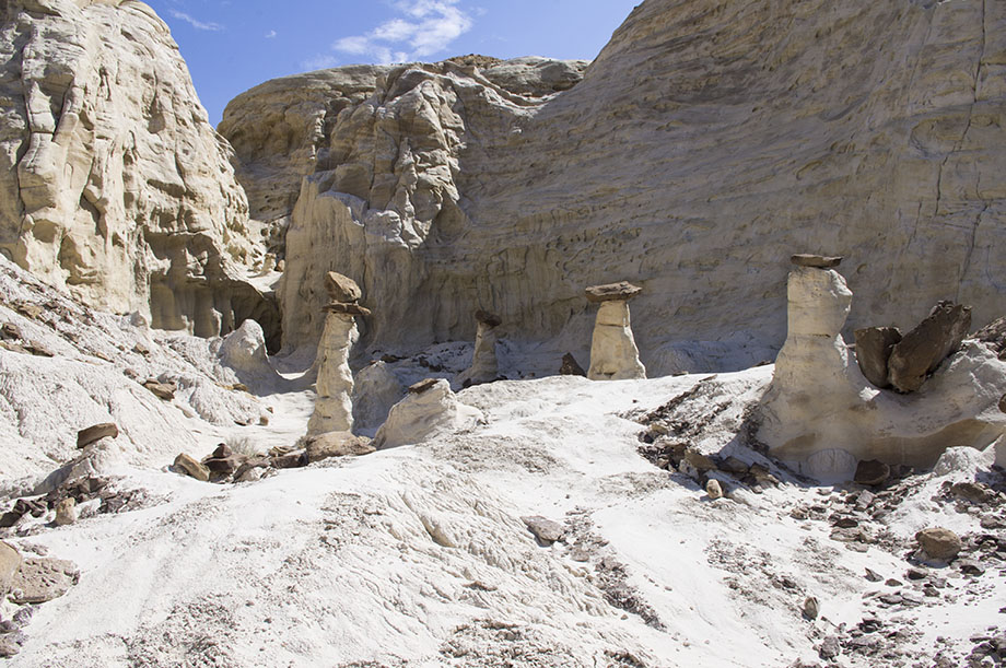 Toadstool Hoodoo