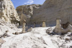 Toadstool Hoodoo