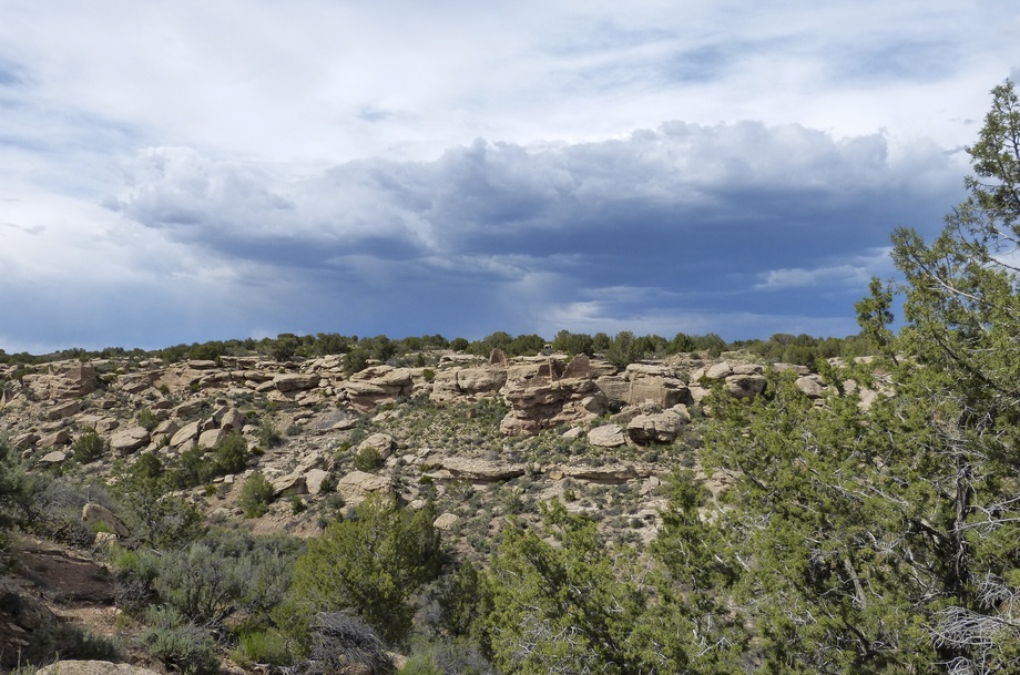 Hovenweep NM