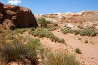 Trailhead
