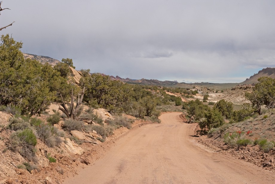 Notom Road