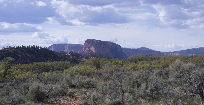 Kolob Terrace Road