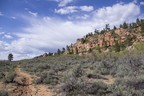 Kolob Terrace Road