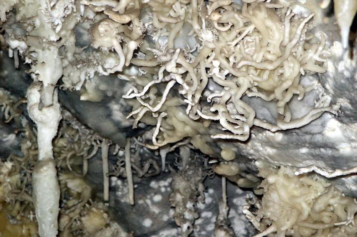 Timpanogos Cave In der Höhle