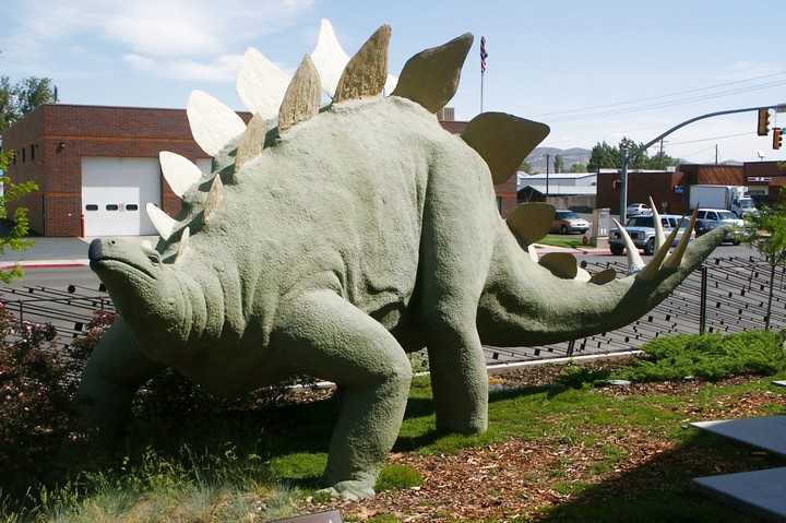 Stegosaurus