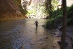 Narrows