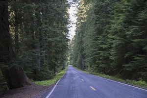 Washington 123