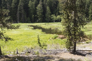 Mount Rainier Longmire