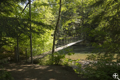 Grove of the Patriarchs Nature Trail