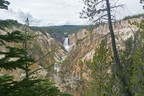 Lower Falls