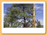 Sunset Crater