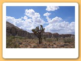 Red Rock
